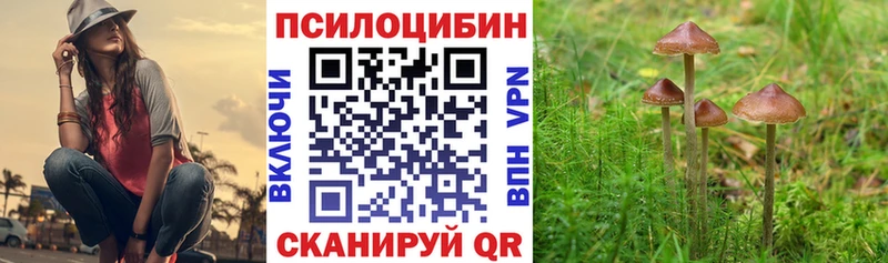 Псилоцибиновые грибы мухоморы  Кола 