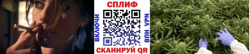 где купить Кола дарк нет клад МАРИХУАНА Amnesia ссылка на мегу ссылки
